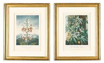 (BOTANICAL.) Dr. Robert John Thornton. Group of 14 uniformly framed plates from the quarto edition of Temple of Flora.